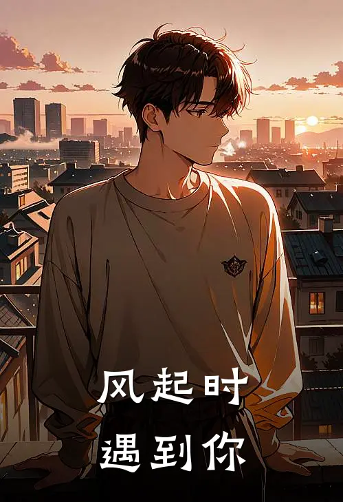 风起时遇到你